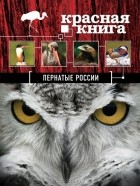 Оксана Скалдина - Красная книга. Пернатые России