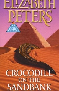 Crocodile on the Sandbank