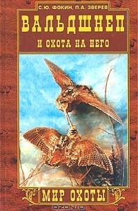  - Вальдшнеп и охота на него