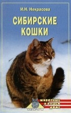 - Сибирские кошки