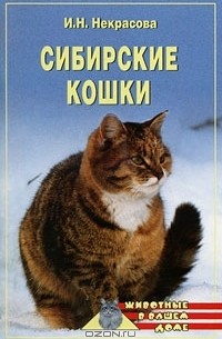  - Сибирские кошки
