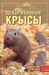Ирина Скрипко - Декоративные крысы