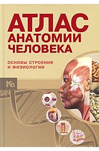 Атлас анатомии человека. Основы строения и физиологии. Анатомический атлас