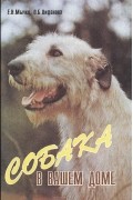  - Собака в Вашем доме