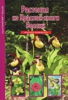 Сергей Афонькин - Растения из Красной книги России
