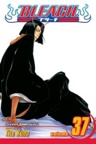 Tite Kubo - Bleach, vol. 37. Beauty Is So Solitary.