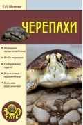 Евгения Сбитнева - Черепахи