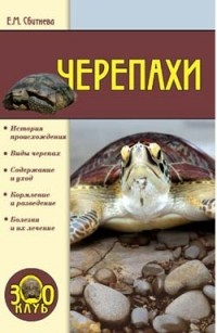 Евгения Сбитнева - Черепахи