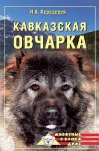 Кавказская овчарка