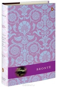 Шарлотта Бронте, Эмили Бронте, Энн Бронте - Jane Eyre. Wuthering Heights. Agnes Grey. The Professor (сборник)