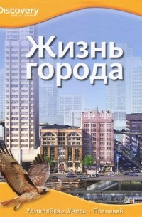 Жизнь города