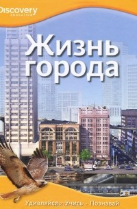  - Жизнь города