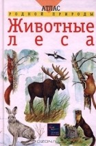  - Животные леса