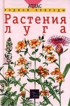  - Растения луга