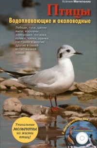 Ксения Митителло - Птицы. Водоплавающие и околоводные (+ CD)