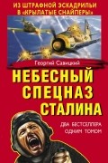 Небесный спецназ Сталина. Из штрафной эскадрильи в «крылатые снайперы»