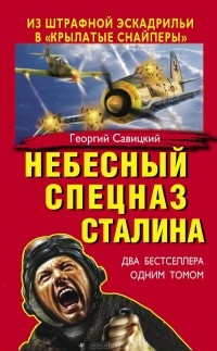 Георгий Савицкий - Небесный спецназ Сталина. Из штрафной эскадрильи в «крылатые снайперы» (сборник)