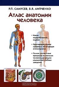 - Атлас анатомии человека