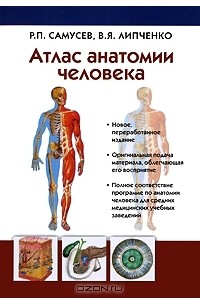 Атлас анатомии человека