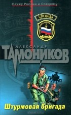 Александр Тамоников - Штурмовая бригада