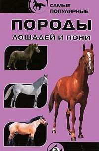 Самые популярные породы лошадей и пони
