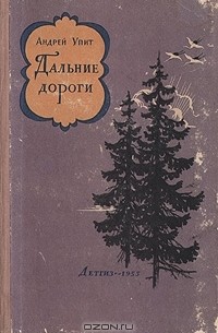 Дальние дороги