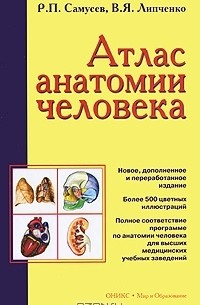 Атлас анатомии человека