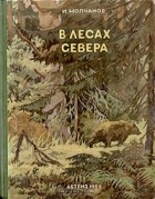 Иван Молчанов - В лесах Севера