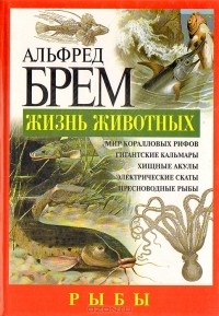 Альфред Эдмунд Брем - Жизнь животных. Рыбы