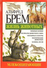 Альфред Эдмунд Брем - Жизнь животных. Млекопитающие. Гор - Кой