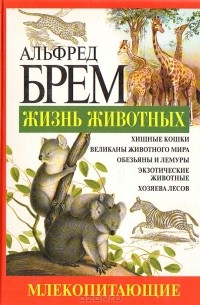 Альфред Эдмунд Брем - Жизнь животных. Млекопитающие. Гор - Кой