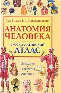  - Анатомия человека. Русско-латинский атлас. Цитология. Гистология. Анатомия