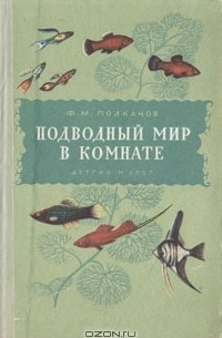 Подводный мир в комнате