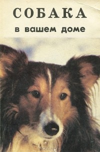Собака в Вашем доме