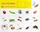  - Насекомые. Познавательно-речевое развитие. Плакат