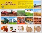  - Хлеб всему голова. Познавательно-речевое развитие. Плакат