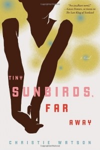 Кристи Уотсон - Tiny Sunbirds, Far Away