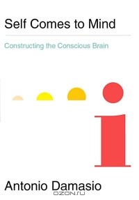 Антонио Дамасио - Self Comes to Mind: Constructing the Conscious Brain