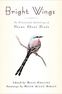 Билли Колинз - Bright Wings – An Illustrated Anthology of Poems About Birds