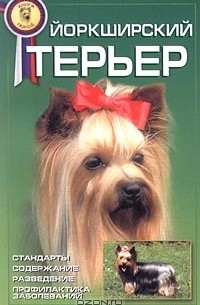 Йоркширский терьер. Стандарты, содержание, разведение, профилактика заболеваний