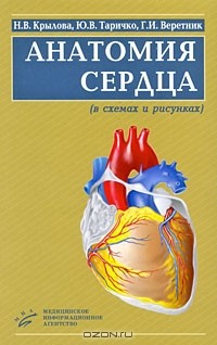  - Анатомия сердца (в схемах и рисунках)