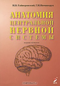  - Анатомия центральной нервной системы. Краткий курс