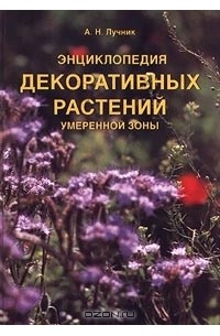 Георгины Данке (Danke) - энциклопедия садовых растений. Георгины - описание, особенности