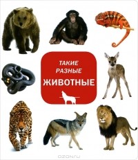  - Такие разные животные