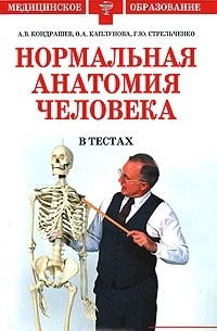  - Нормальная анатомия человека в тестах