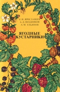  - Ягодные кустарники