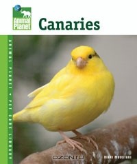 Никки Мустаки - Canaries