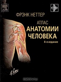 Фрэнк Неттер - Атлас анатомии человека