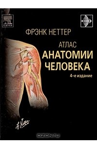 Фрэнк Неттер - Атлас анатомии человека
