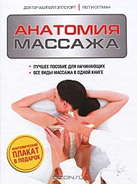  - Анатомия массажа